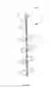 Fig. 02 - Tool hanger