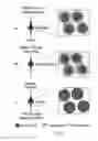 Fig. 02 - Method for the preparation of reactive [18] F fluoride