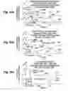 Fig. 86 - Fabrication of semiconductor structure having asymmetric field-effect transistor with tailored pocket portion along source/drain zone