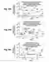 Fig. 97 - Fabrication of semiconductor structure having asymmetric field-effect transistor with tailored pocket portion along source/drain zone