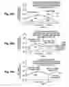 Fig. 30 - Structure and fabrication of field-effect transistor having source/drain extension defined by multiple local concentration maxima