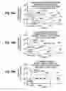 Fig. 86 - Structure and fabrication of field-effect transistor having source/drain extension defined by multiple local concentration maxima