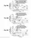 Fig. 87 - Structure and fabrication of field-effect transistor having source/drain extension defined by multiple local concentration maxima