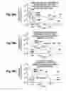 Fig. 90 - Structure and fabrication of field-effect transistor having source/drain extension defined by multiple local concentration maxima