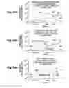 Fig. 96 - Structure and fabrication of field-effect transistor having source/drain extension defined by multiple local concentration maxima