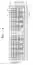 Fig. 07 - Chip stack package and method of fabricating the same