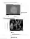 Fig. 07 - NANOCOMPOSITES FOR OPTOELECTRONIC DEVICES
