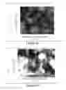 Fig. 08 - NANOCOMPOSITES FOR OPTOELECTRONIC DEVICES