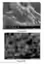 Fig. 09 - NANOCOMPOSITES FOR OPTOELECTRONIC DEVICES