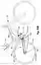 Fig. 43 - Rear suspension system for a bicycle