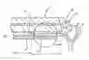 Fig. 01 - AUTOMOTIVE GLAZING AND COMPONENT ASSEMBLY