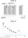 Fig. 04 - Radiation imaging apparatus and dark current correction method therefor