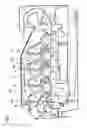 Fig. 02 - Image forming apparatus having a function for adjustment of image forming conditions
