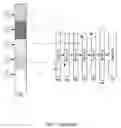 Fig. 09 - Methods and Systems for Rendering Data