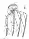 Fig. 02 - AUTOMOTIVE TAILLIGHT LIGHT GUIDE