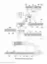 Fig. 06 - Telecommunications system and method