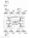 Fig. 01 - Multicast snooping on layer 2 virtual private network
