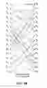 Fig. 11 - Trellis decoder for decoding data stream including symbols coded with multiple convolutional codes