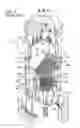 Fig. 02 - STEAM FLOW VORTEX STRAIGHTENER