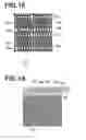 Fig. 12 - Radiation phase contrast imaging apparatus