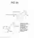 Fig. 08 - Apparatus and method for X-ray treatment