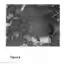 Fig. 09 - USE OF ERYTHROPOIETIN