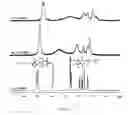 Fig. 04 - Supramolecular handcuffs in polymeric architecture