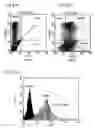 Fig. 09 - Recombinant virus vector originating in HHV-6 or HHV-7, method of producing the same, method of transforming host cell using the same, host cell transformed thereby and gene therapy method using the same
