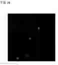 Fig. 22 - Recombinant virus vector originating in HHV-6 or HHV-7, method of producing the same, method of transforming host cell using the same, host cell transformed thereby and gene therapy method using the same