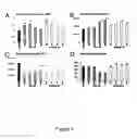 Fig. 06 - Compositions of mesenchymal stem cells to regenerate bone