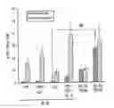 Fig. 01 - Vector particles for targeting CD34+ cells