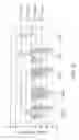 Fig. 02 - Nucleic acid molecules encoding antibodies to M-CSF