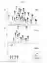Fig. 09 - Methods and compositions for immunization against virus