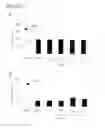 Fig. 02 - METHOD OF REDUCING THE EFFECTS OF CYTOSTATIC DRUGS ON BONE MARROW DERIVED CELLS, AND METHODS OF SCREENING