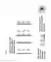 Fig. 02 - Polypeptide films and methods