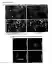 Fig. 04 - Biologic Modulations with Nanoparticles