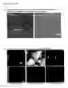 Fig. 06 - Biologic Modulations with Nanoparticles