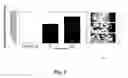 Fig. 06 - Compositions and Methods to Modulate Angiogenesis