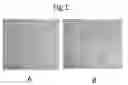 Fig. 02 - Water based non-chromated primers for structural bonding applications