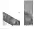 Fig. 07 - Epitaxial layers on oxidation-sensitive substrates and method of producing same