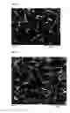 Fig. 08 - HYDROGEN-PERMEABLE MEMBRANE MADE OF A METAL COMPOSITE MATERIAL