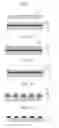 Fig. 02 - Resist composition, resist layer, imprinting method, pattern formation, method for producing magnetic recording medium, and magnetic recording medium