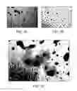 Fig. 02 - Method of isolating stem and progenitor cells from placenta