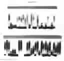 Fig. 05 - METHODS AND MATERIALS FOR DETECTING FRAGILE X MUTATIONS