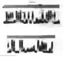 Fig. 06 - METHODS AND MATERIALS FOR DETECTING FRAGILE X MUTATIONS