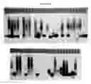 Fig. 16 - METHODS AND MATERIALS FOR DETECTING FRAGILE X MUTATIONS