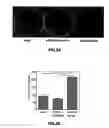 Fig. 09 - Gene and protein relating to hepatocellular carcinoma and methods of use thereof