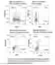 Fig. 13 - Compiled Methods for Analysing and Sorting Samples