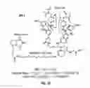 Fig. 02 - Method to determine protein interaction sites
