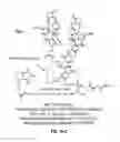 Fig. 03 - Method to determine protein interaction sites